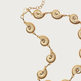 Coastal Chain Belt