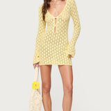 Brie Cut Out Crochet Mini Dress