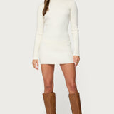 Turtle Neck Ribbed Knit Mini Dress
