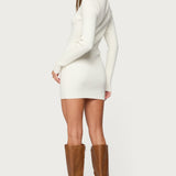 Turtle Neck Ribbed Knit Mini Dress